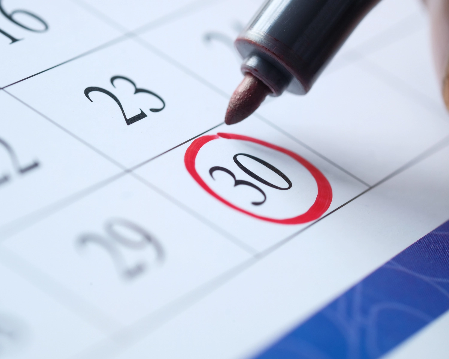 Schedule your appointment with Curbside Customs Co.